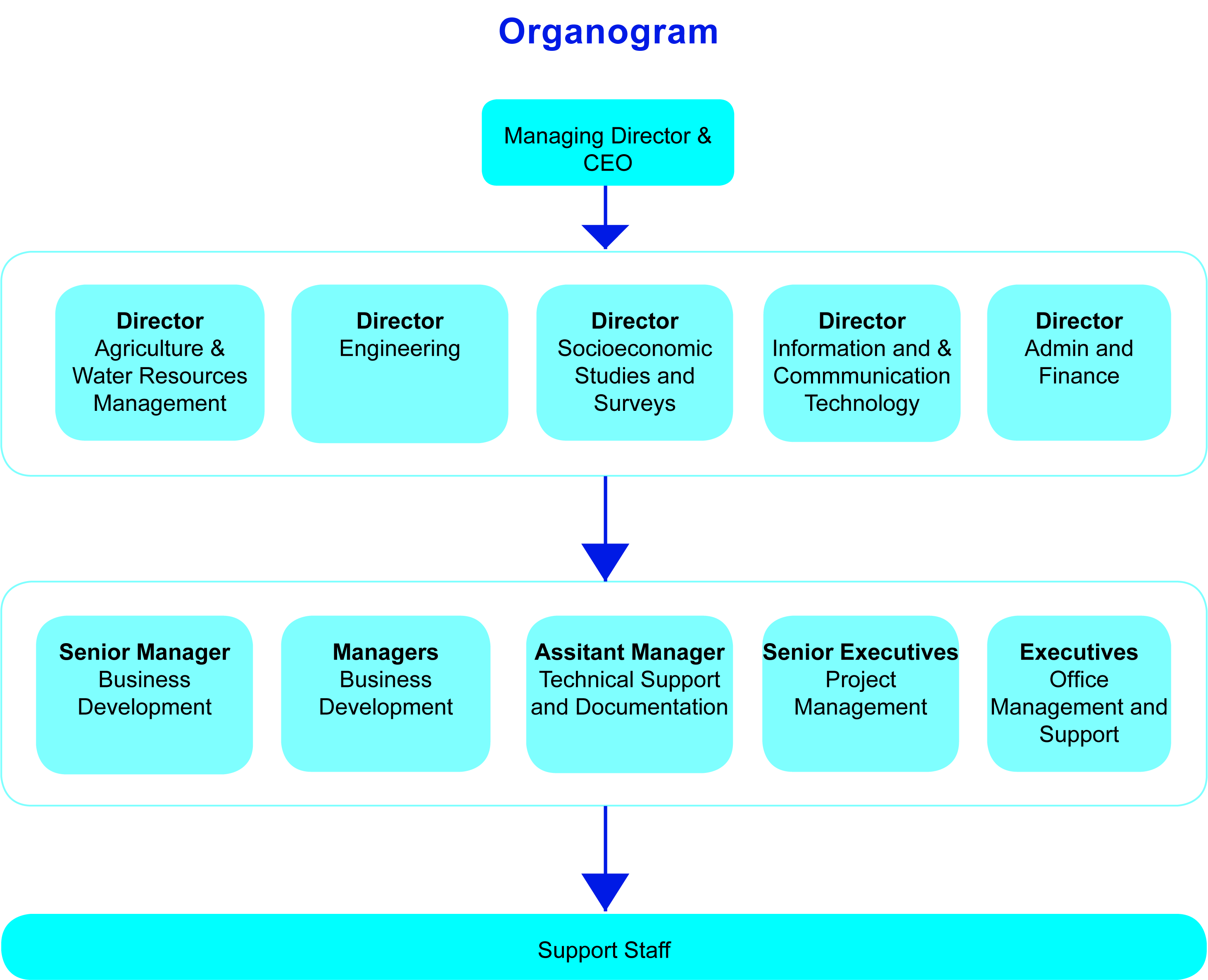Organizational Structure - Creative Consultants International Ltd