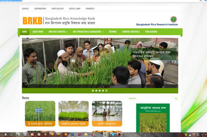  Bangladesh Rice Knowledge Bank