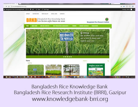 Bangladesh Rice Knowledge Bank