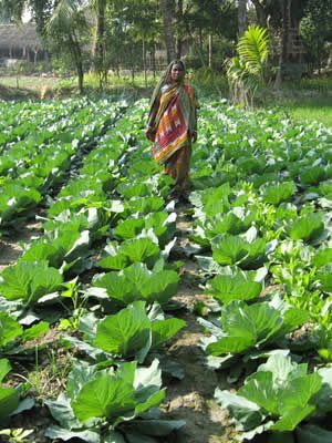 3 - Agriculture, Environment and Natural Resources
