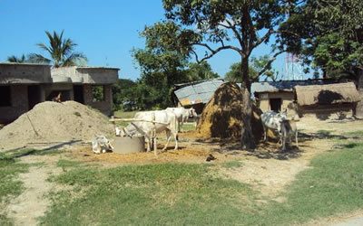 3 - Evoluation of Agriculture