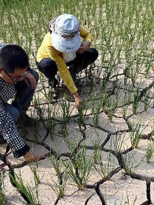 8 - Environment and Climate Change