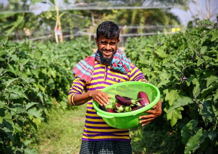 Crop Diversification