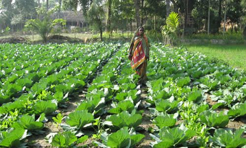 Field Visit 2