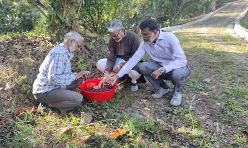 Field Visit 4