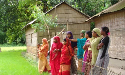 Field Visit 6